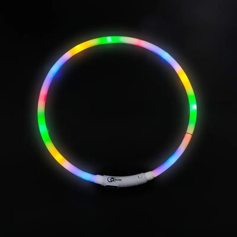 49187255288119|49187255320887|49187255353655