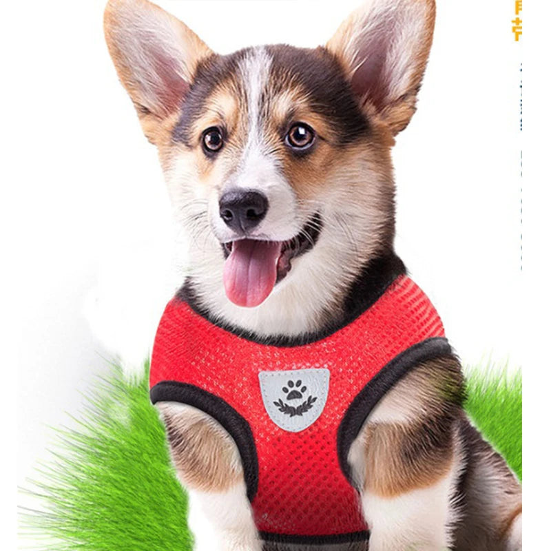Pet Harness and Leash Set Cat and Dog Walking Soft Mesh Breathable Adjustable Vest for Puppy Leash Chest Strap Pet Supplies