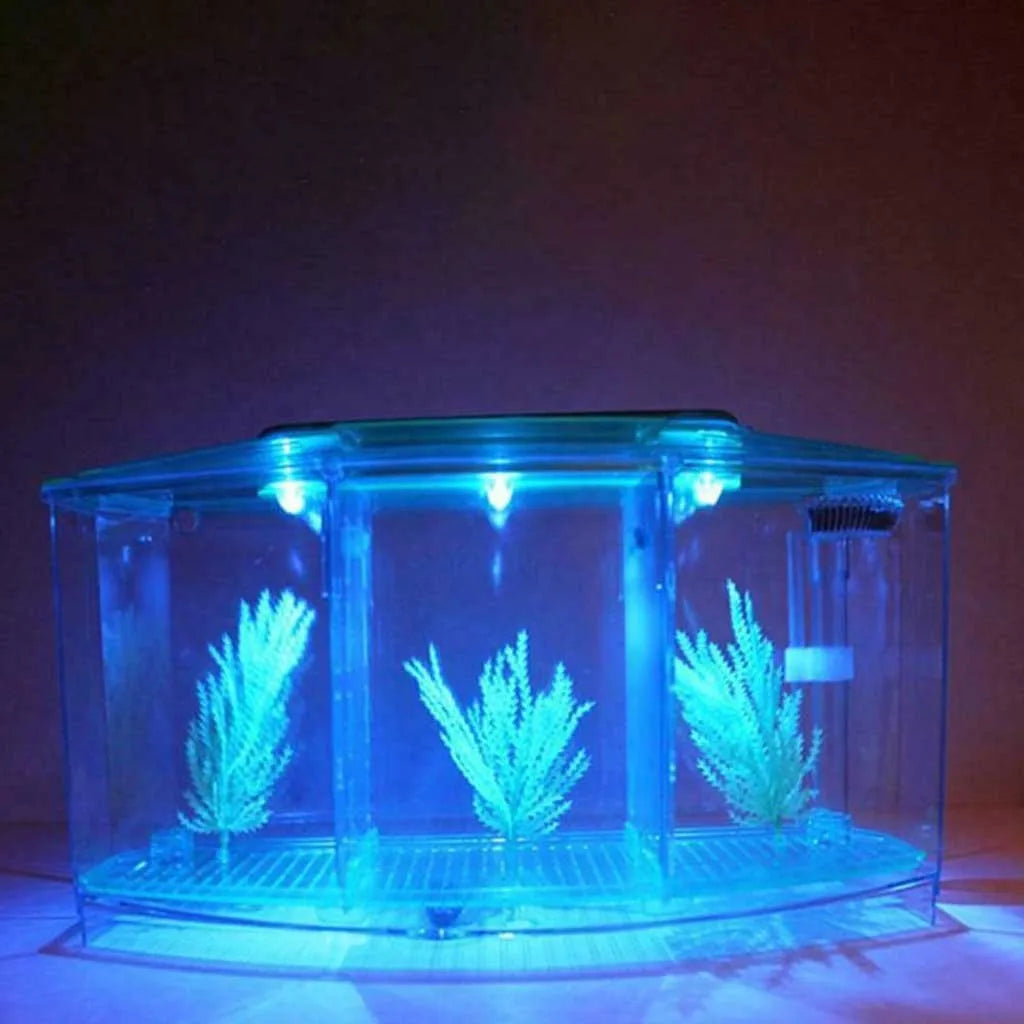 450ML Arylic Aquarium with 3 Compartments Mini Fish Tank Water Grass 6 LED Lights Water Filtering Tube