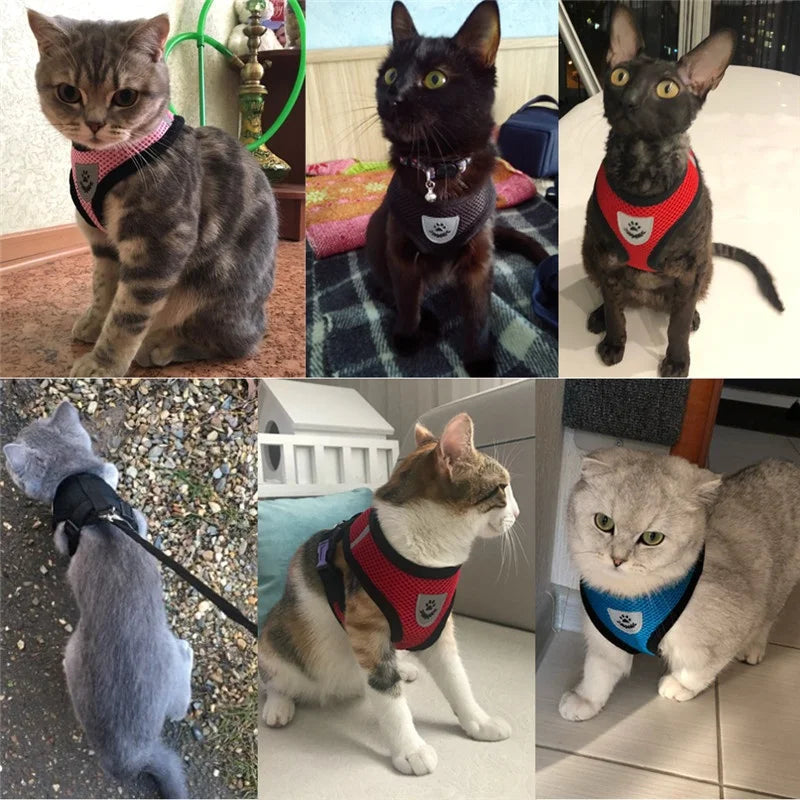 Pet Harness and Leash Set Cat and Dog Walking Soft Mesh Breathable Adjustable Vest for Puppy Leash Chest Strap Pet Supplies