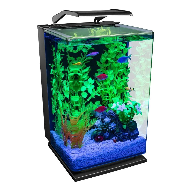 Cycle 5 gal Desktop Starter Glass Aquarium Kit