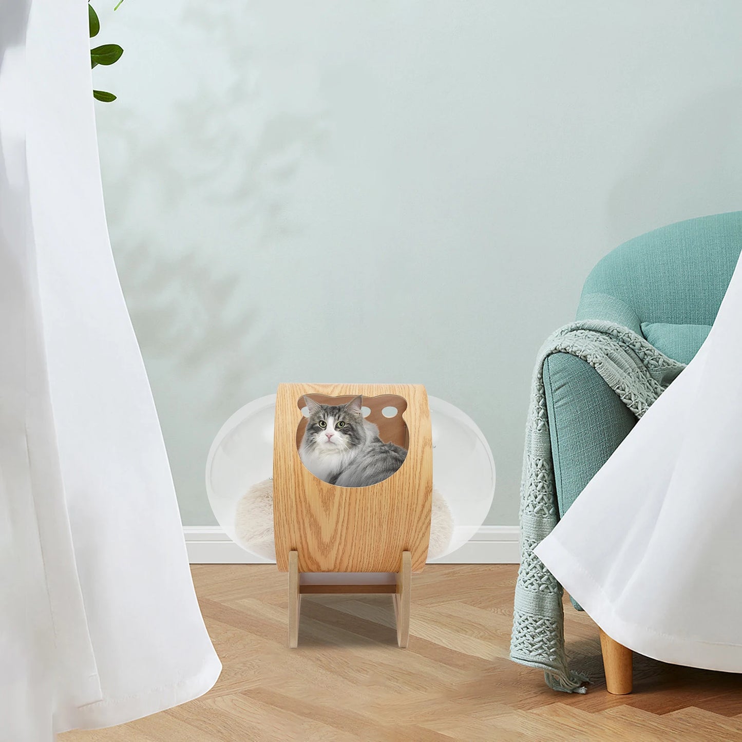 Space Capsule Wooden Pet Bed Spaceship Warm And Cozy Pet Beds For Cats Luxury Pet Furniture Wooden Cat Bed Modern