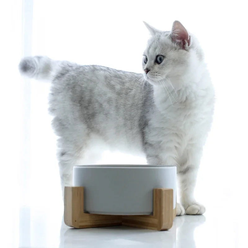 Ceramic Dog Feeding Bowl Pet Feeder Goods For Cats Puppy Food Water Container Storage Waterer Accessories Animal Supplies #P003