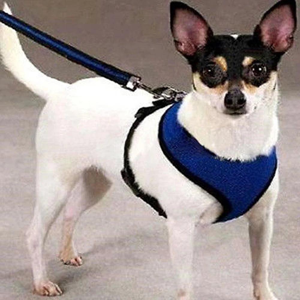 Dog Harness Walking Lead Leash For Small Dogs Collar Adjustable Mesh Puppy Cat Harness Vest Pet Clothing Pet Accessories