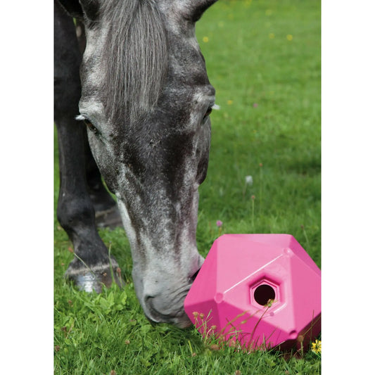 Horse Treat Ball Equine Hay Feeding Toy for Horse Stable Stall Paddock for Horse Goat Sheep Relieve Stress Horse Pony Treat Ball