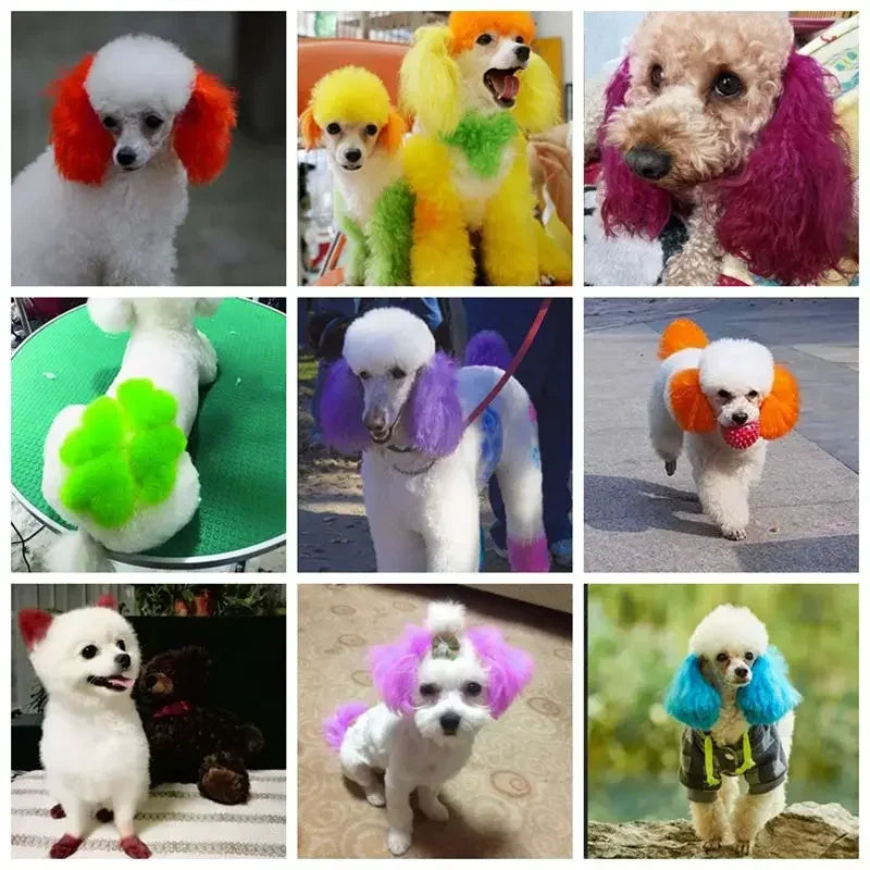 80g New Pet Dog Cats Animals Hair Bright Coloring Dyestuffs Dyeing Pigment Agent Supplies Hair Coloring Safe Dog Accessories