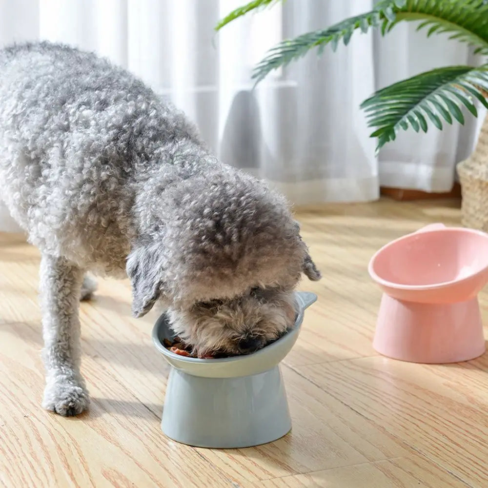 Pet Feeder Cat Dog Cervical Vertebravels High Feeding Bowl Kitten Puppy Elevated Bowls Animal Supplies