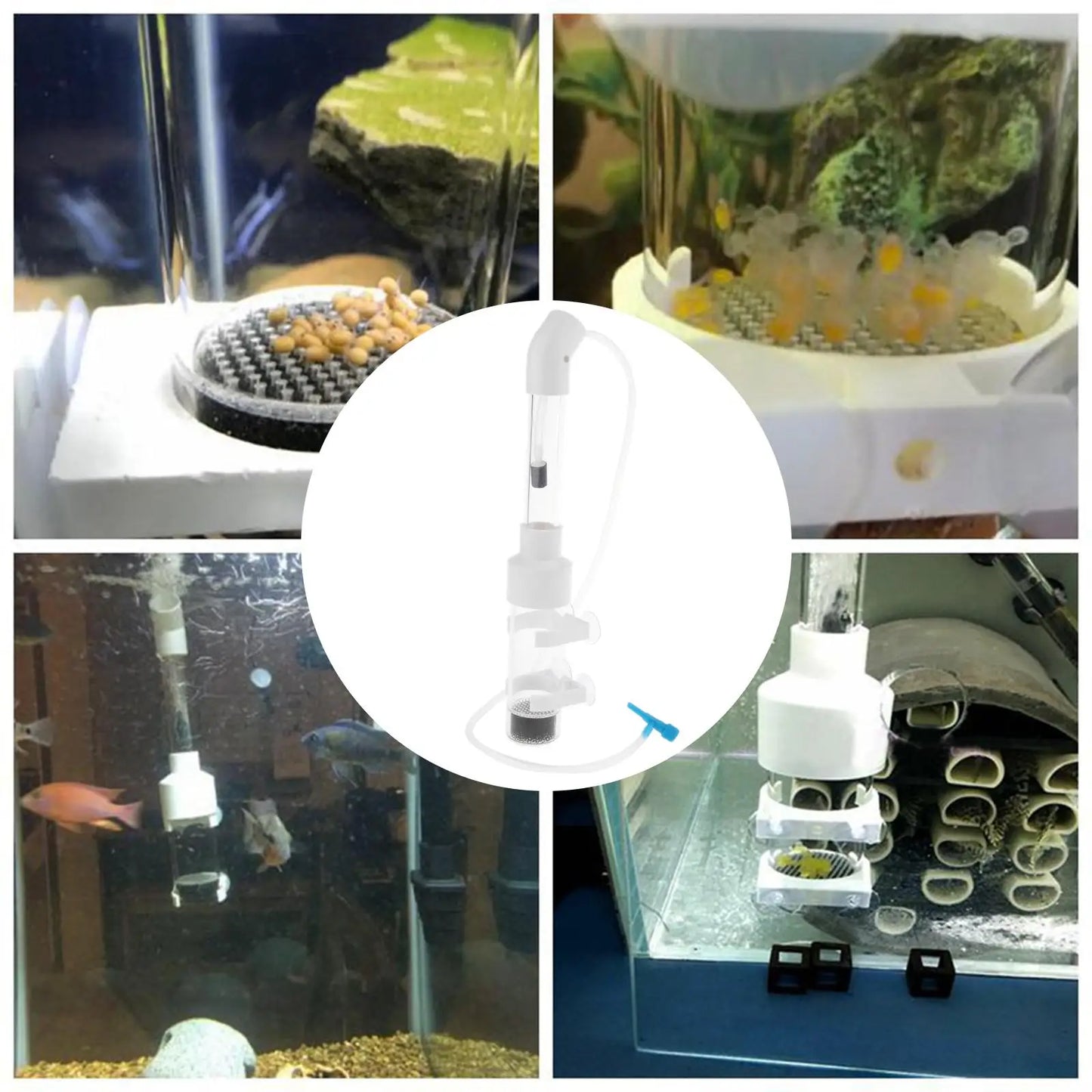 Aquarium Fish Egg Incubator Tumbler Hatchery Breeding Mouth 50mm for