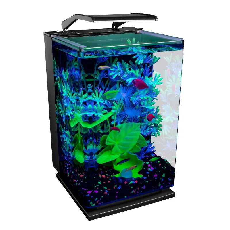 Cycle 5 gal Desktop Starter Glass Aquarium Kit