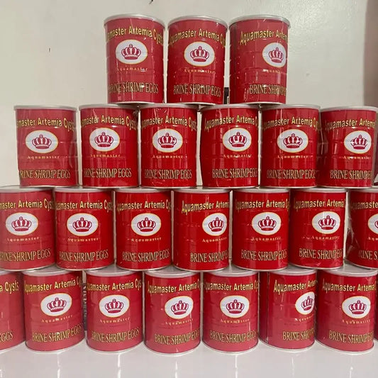 47890206982455