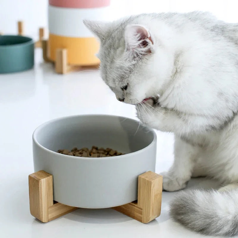 Ceramic Dog Feeding Bowl Pet Feeder Goods For Cats Puppy Food Water Container Storage Waterer Accessories Animal Supplies #P003